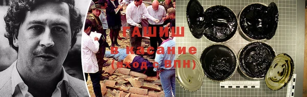 крисы Армянск