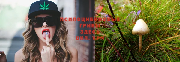 крисы Армянск