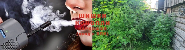 крисы Армянск