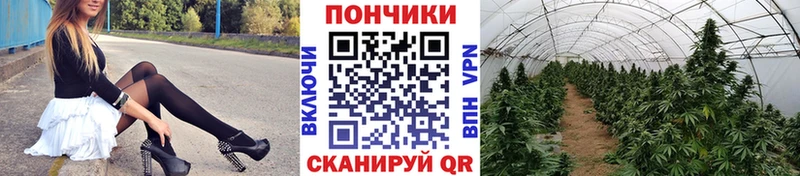Бошки марихуана OG Kush Сарапул